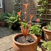 Weatherproof Metal Floral Garden Stake Handcrafted Three Calla Lilies Sculpture  Patio