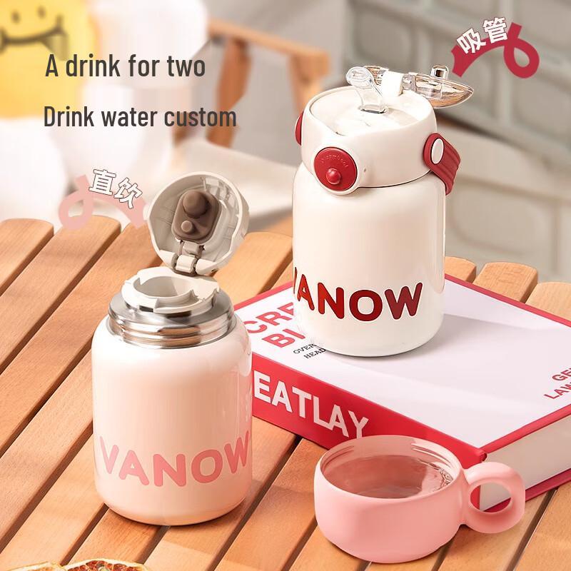 Vanow New Style 480ml Insulated Water Bottle with Straw