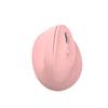 Type C Wireless Vertical Mouse 2.4G Ergonomic Mouse 4800DPI Mouse Bluetooth-compatible Optically Mouse for PC Computer