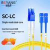 Boyang Telecom-Grade Single-Mode Fiber Optic Patch Cord