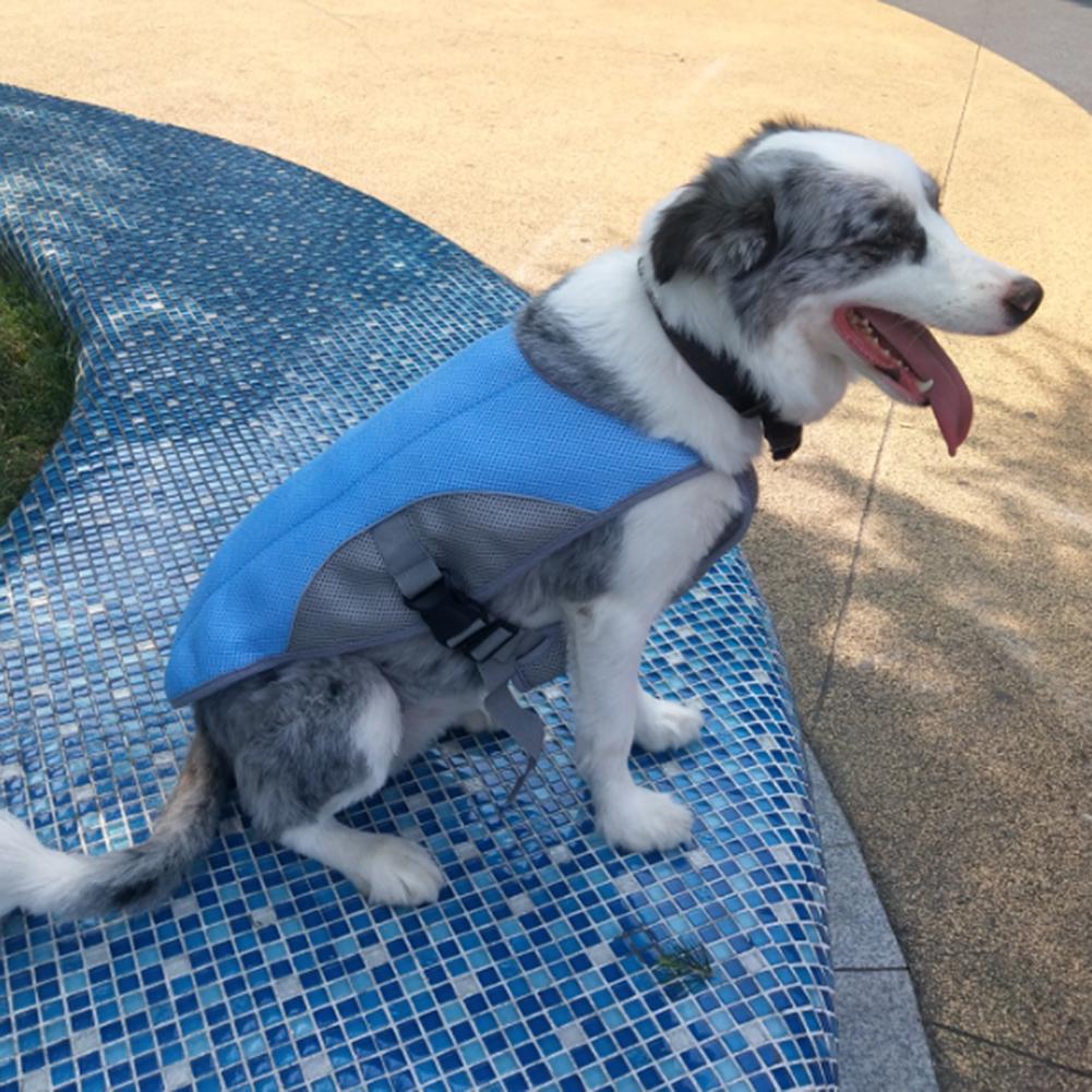 

Лето Pet Cooling Vest Heatstroke Prevention Pet Dog Harness Cooler Jacket for Outdoor Walks Running Climbing