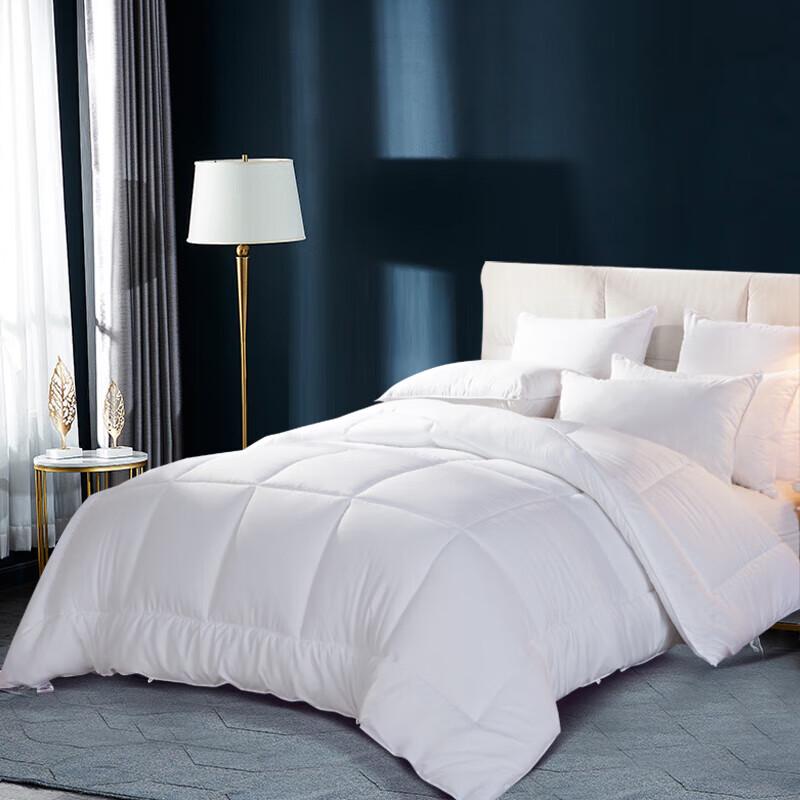 

SOMERELLE Yileito Soft Warm Four Seasons Double Quilt