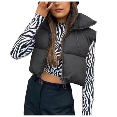 Autumn Winter Women's Short Cotton Down Vest Short Stand Up Collar Warm Sleeveless Quilted Vest Outdoor Travel Jacket
