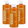 Elastin Protein Clinic 10000 Protein High-Nutrition Shampoo Floral Musk Scent 1L 3 Pcs