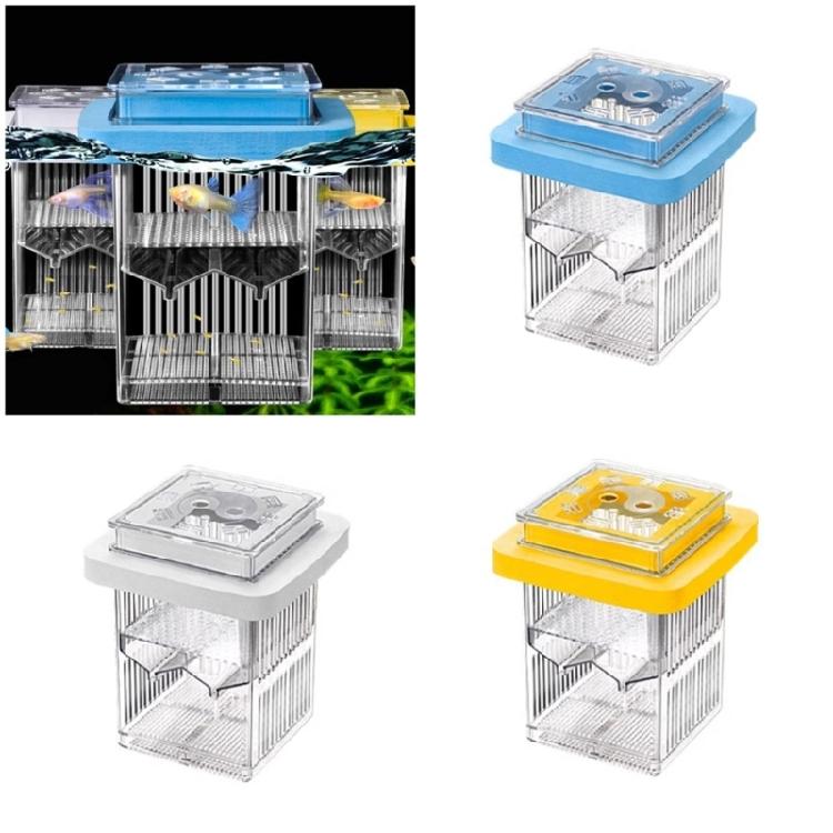 Acrylic Fish Breeding Box for Hatchery and Isolation for Aquariums Breeding Box Double Layer