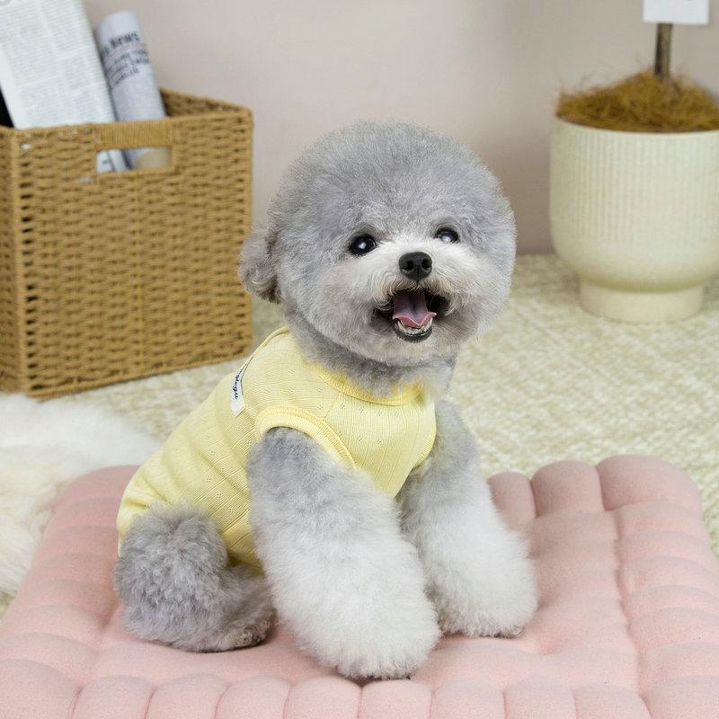 Girls Dog Clothes Spring Summer Wrapped Belly Jumpsuit Onesie For Small Dogs Chihuahua York Puppy Surgical Gown Pajamas Overalls