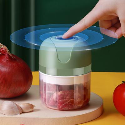 Electric Garlic Masher 100/250ML USB Charging Food Processor for Vegetable Onion Powerful Motor Garlic