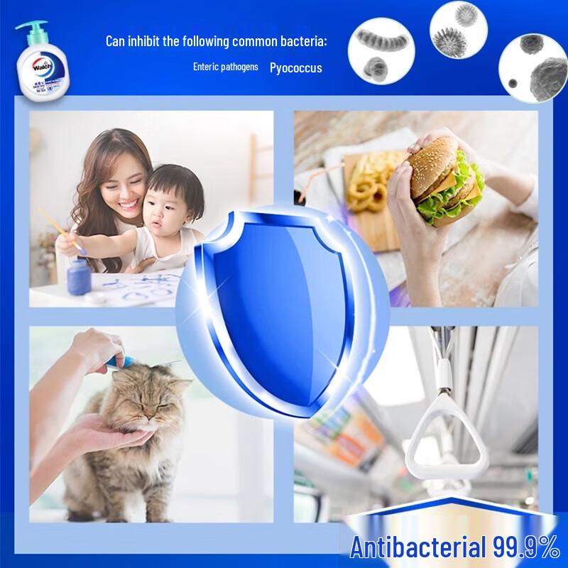 Walch Schäumende Antibakterielle Handwaschlotion (Healthy Care & Classic Gold 2er-Pack)