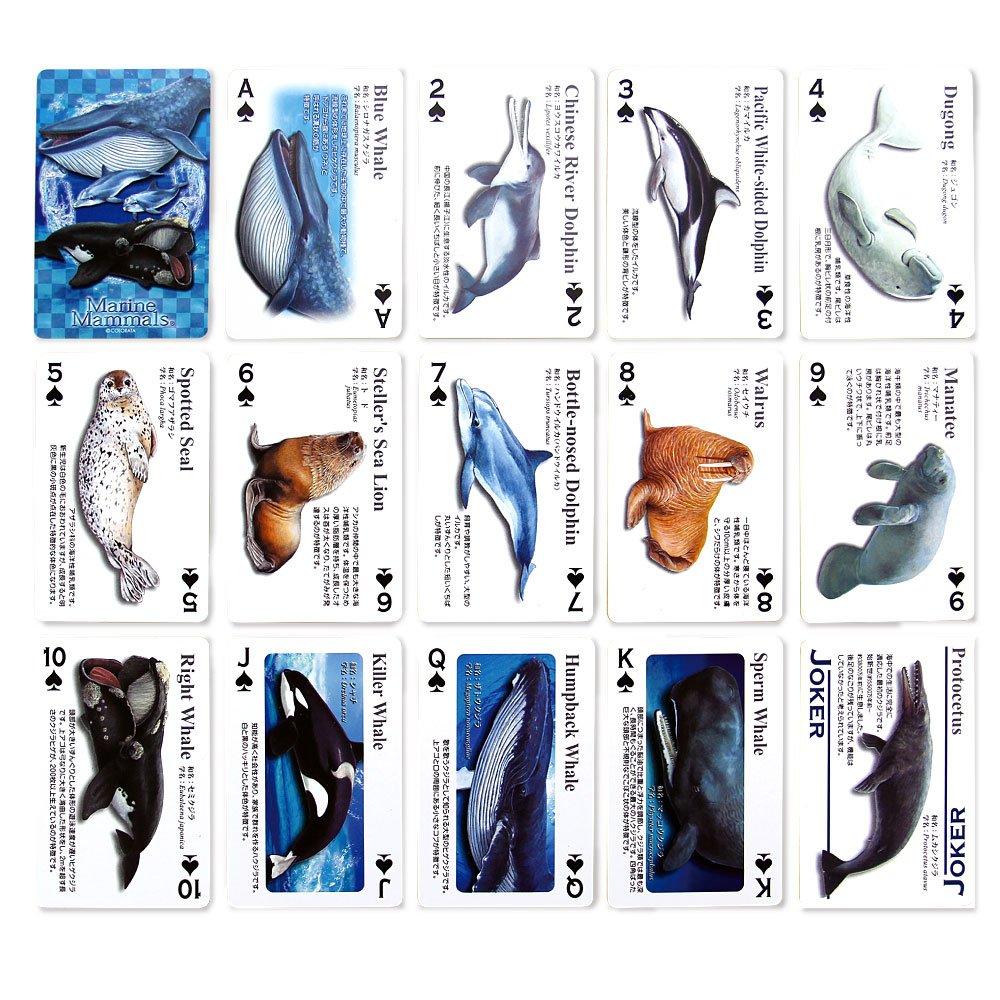 Carolata Real Marine Mammal Learning Playing Cards Marine Mammals Dolphins Whales Toys Educational Toys Playing Cards Games Encyclopedia Gifts
