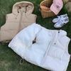 Autumn and Winter New Vest Down Cotton Clothes Short Cotton-padded Vest Women Small Hooded Loose Vest Tide