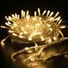 LED String Lights Built-in Switch Garden Decoration