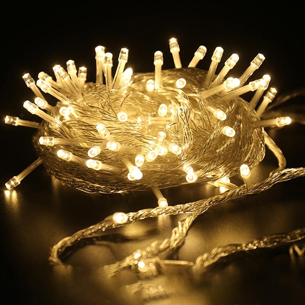 LED String Lights Built-in Switch Garden Decoration