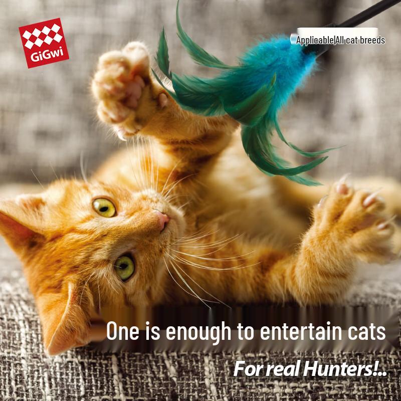 GiGwi Durable Feather Cat Teaser Wand
