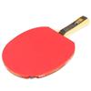 DHS H1002 1-Star Training Shakehand Table Tennis Racket