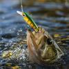 6 Colors Hard, Realistic Plastic Artificial for and Trout