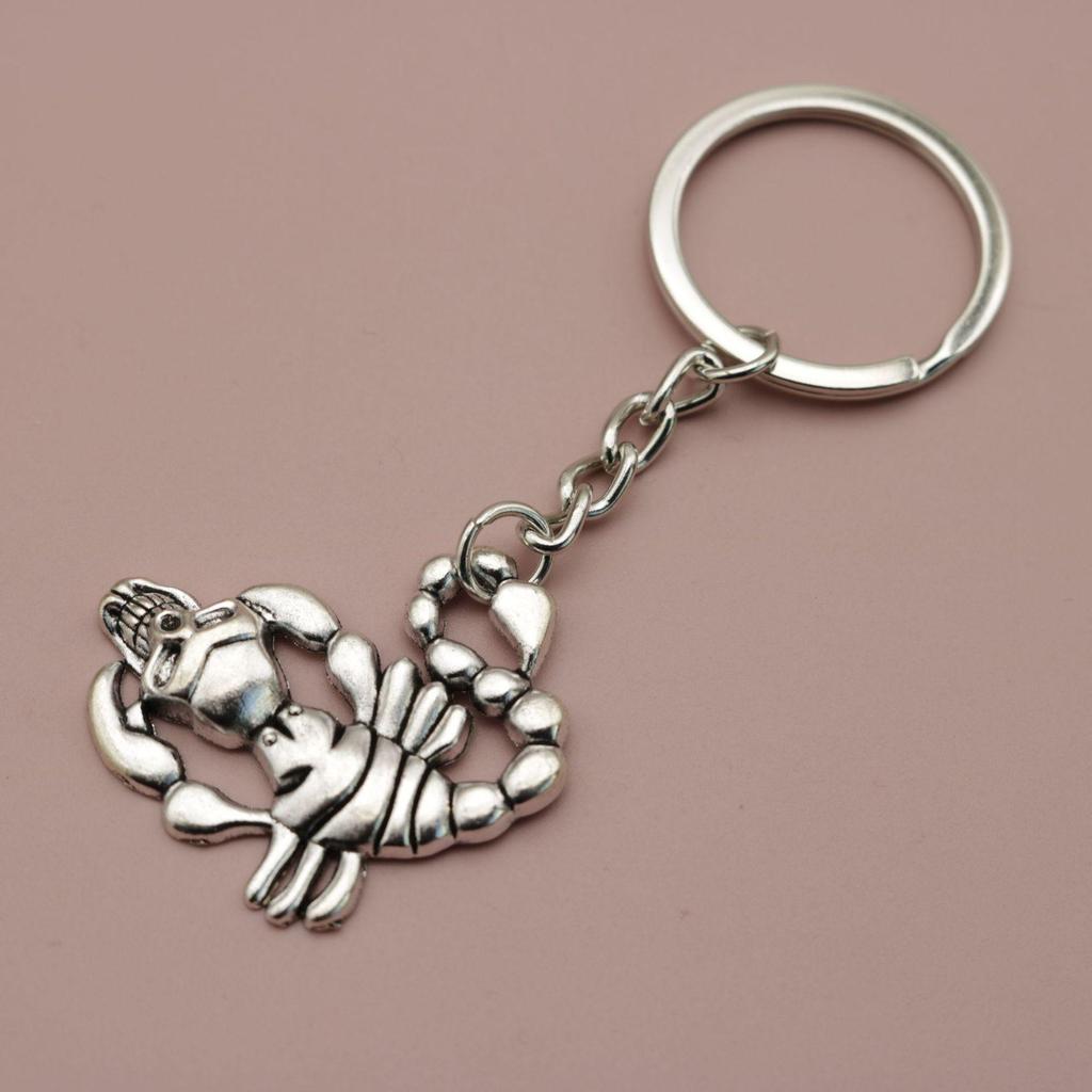 Temu Xiyin Scorpion Keychain Pendant