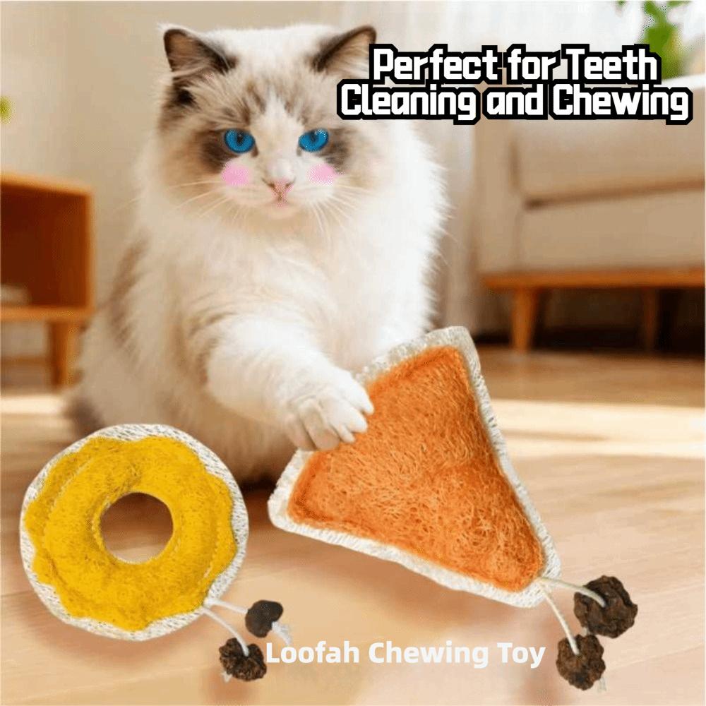 Dental Care Natural Loofah Cat Chew Toys Teething Comfort Enrichment Interactive Kitten Toys Healthy Loofa Dental DogToys