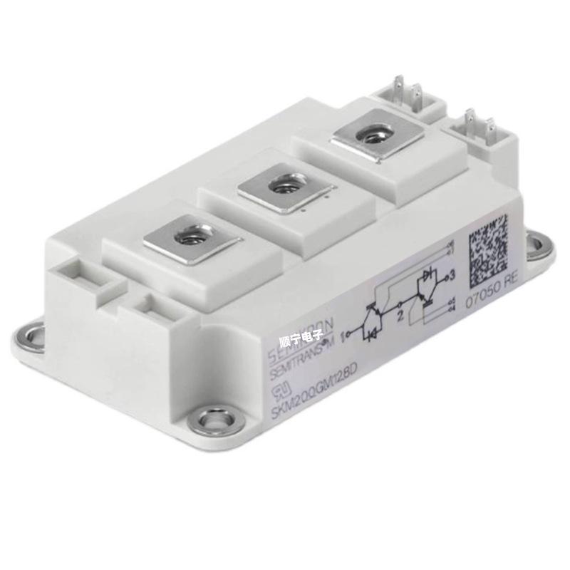 SKM200GM12T4 & SKM200GM128D IGBT Modules, Electronic Components, Standard Package
