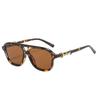 New double beam pilot sunglasses, European and American ins Internet celebrities big frame fashion street shooting show face small sunglasses trend