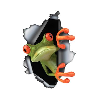 Frosch Autoaufkleber Lustiger Wasserdichter Vinylaufkleber Motorrad Dekoratives Zubehör, Verwendet für Auto, Motorrad, Laptop, Van