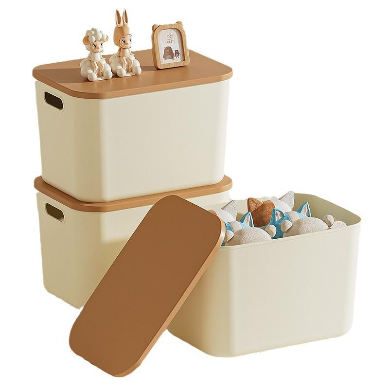 Opbergbox voor thuis met deksel: Ideaal voor Woonkamer, Snacks, Speelgoed, Cosmetica, Kleding en Meer