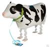 Cute Walking Animals Foil Balloons Pet Cat Giraffe Dinosaur Frogs Walk Helium Balloon Baby Shower Birthday Party Decorations 1Pc