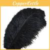 In Feathers Ostrich Multiple Colors Stage Simulation Performance Feathers Props