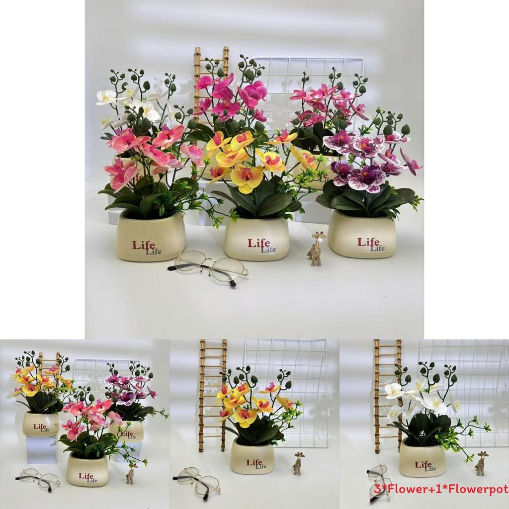 Butterfly Orchid Artificial Plant For Photography Decor And Home Styling