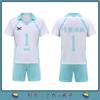 Cos Gift Haikyu Costume Anime Karasuno High School Volleyball Club Hinata Shyouyou Sportswear Jerseys Thin Uniform Suit