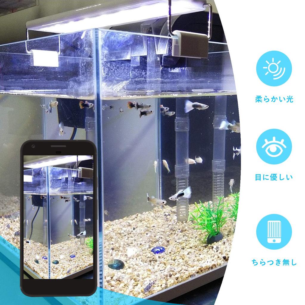 Lampe d'aquarium LEDGLE 10 W compatible avec les aquariums 56 LED bleues 46 LED pour poissons, plantes aquatiques, poissons d'ornement, élevage