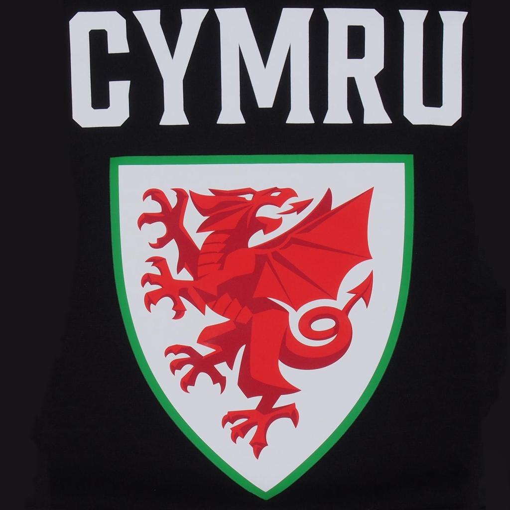 FA Wales Mens Graphic Fleece Hoodie
