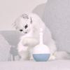 Cat Toys Treat Dispensing Funny Interactive Indoor Cat Toys For Cats Pets Kitten Training Energy Consuming Playtime Relaxation