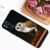 Cartoon Owl Case For Xiaomi Redmi Note 12 8 9 10 11 Pro Note 12S 11S 10S 9S 9A 9C 9T 10A 10C 12C Cover