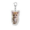 HOT !!! Hamster Acrylic Keychain Cute Sad Lovely Mobile Phone Backpack Pendant