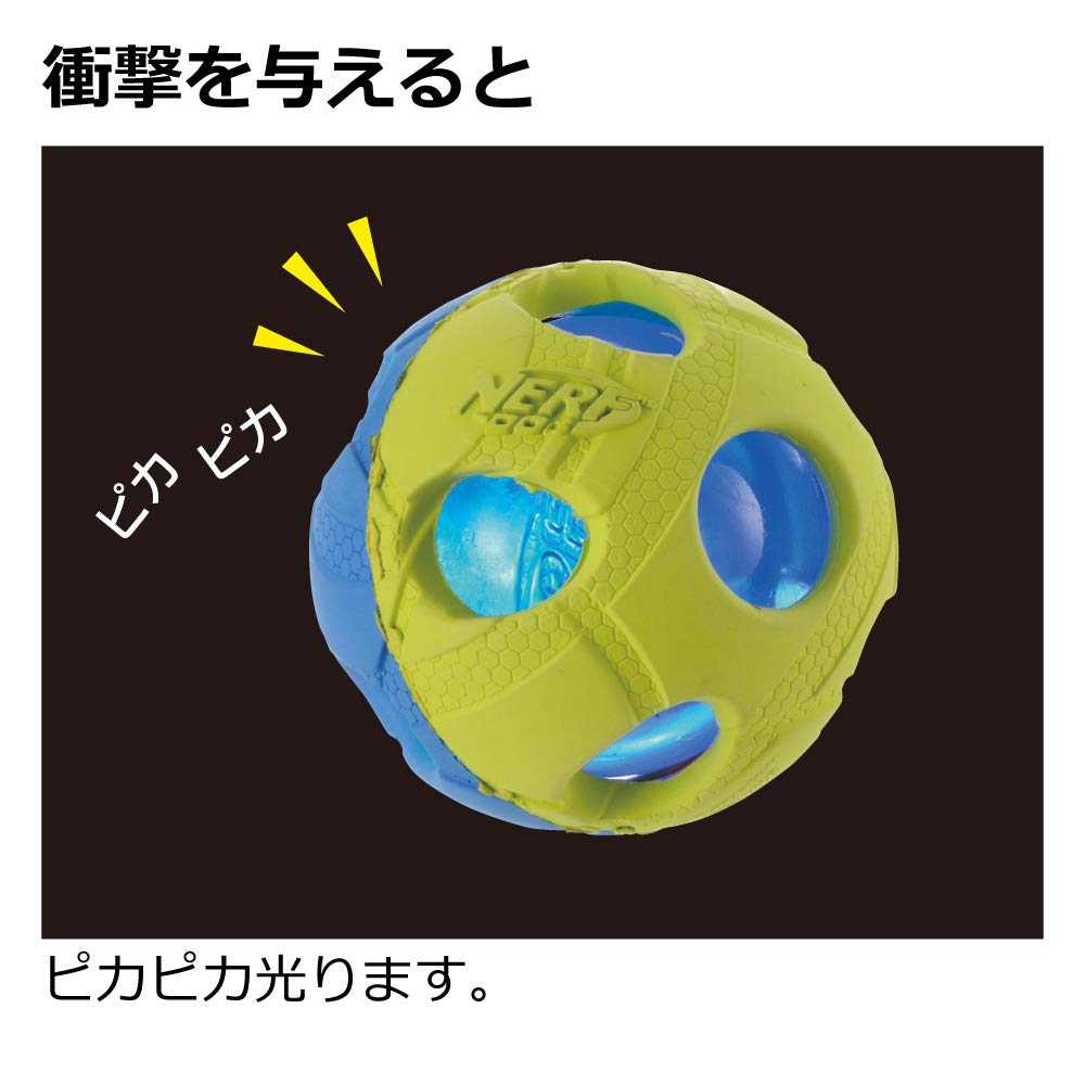 Richell Hundespielzeug Nerf Dog Light Ball 2.5i