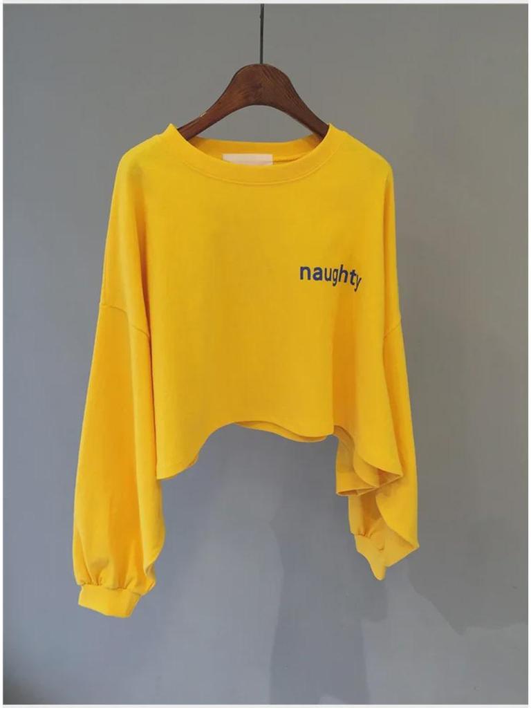 Women's Korean Style Cotton-Blend Crew Neck Sweatshirt - Spring/Autumn