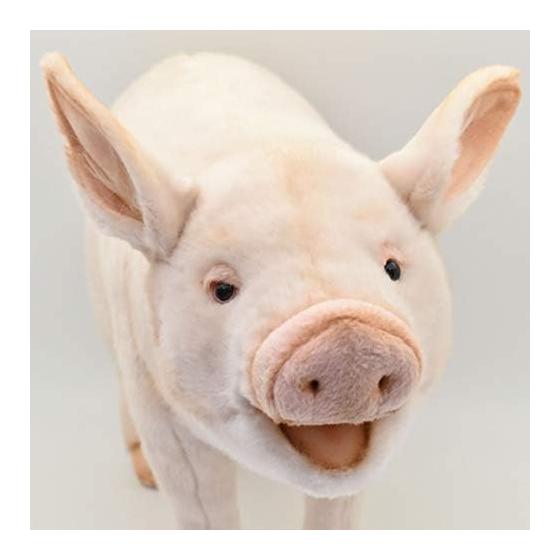 BH6347 HANSA Pig 63