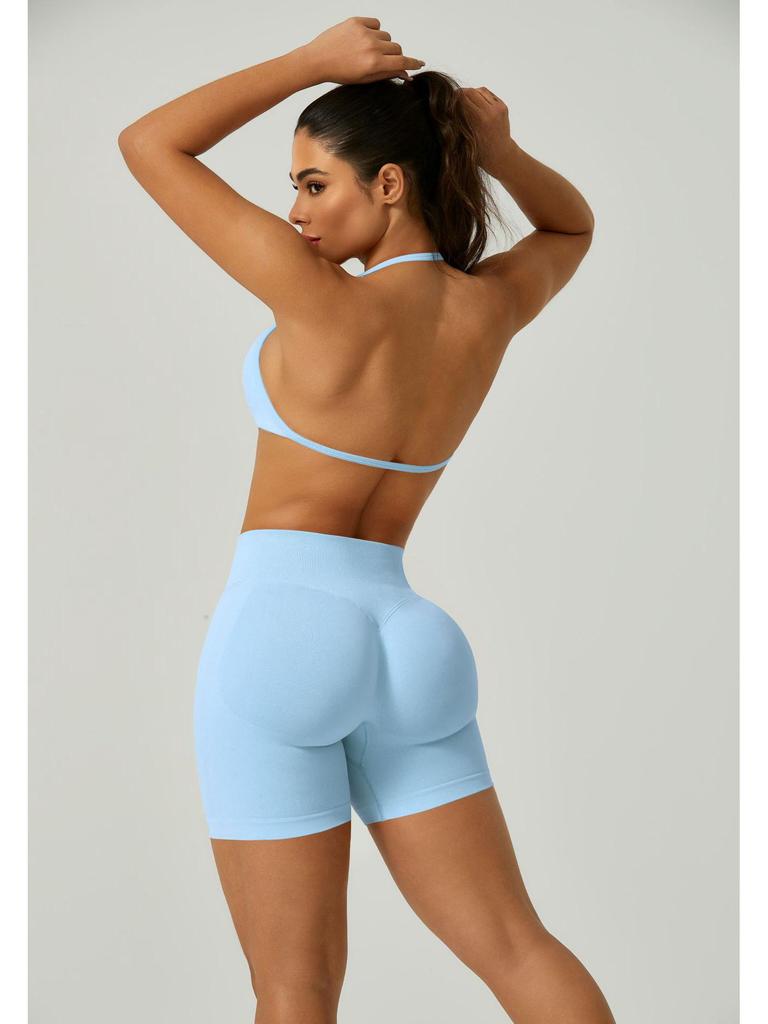 European Halter Neck Seamless Yoga Bra: Sexy, High Elasticity, Matte Finish, Beautiful Back Design