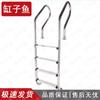 304 Stainless Steel Swimming Pool Entry Ladder