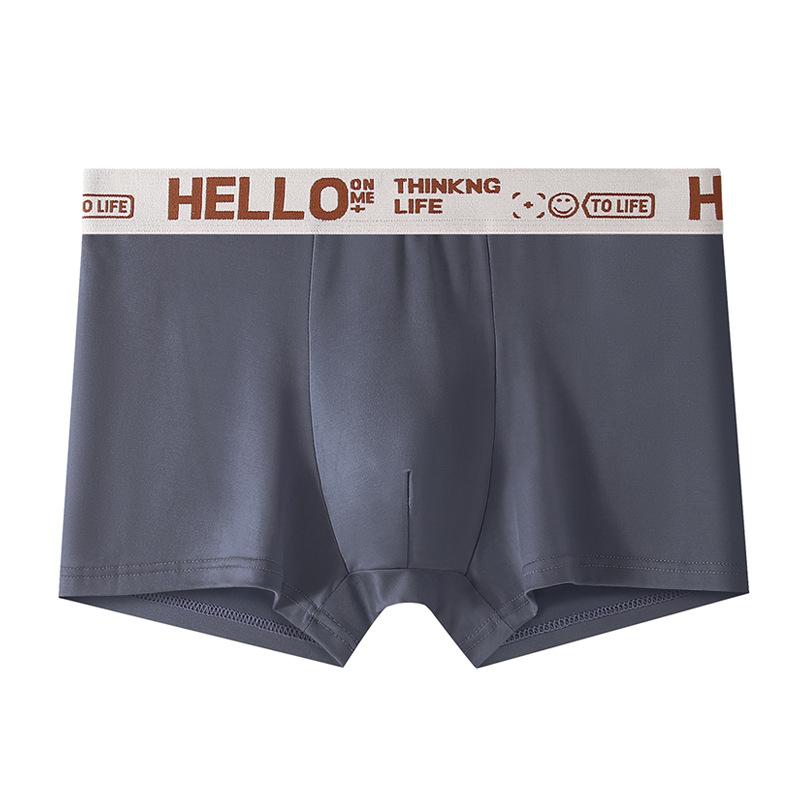 Large Size Men's Spring and Summer Fashion New Waist Flat Angle Underwear