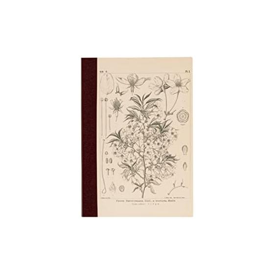 Hobonichi Notebook Tomitaro Makino/Hobonichi Graph Notebook (A6) Yamazakura 3.7mm Graphs 240 Pages Graph Ruled 4 Colors Notebook Accessories