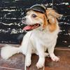 Yousheng Pet Headgear Breathable Ultra-Light Adjustable Dual Holes Design Easy-wearing Dress Up Polyester Multi-Sport Outdoor Bike Motorcycle Pet Cap