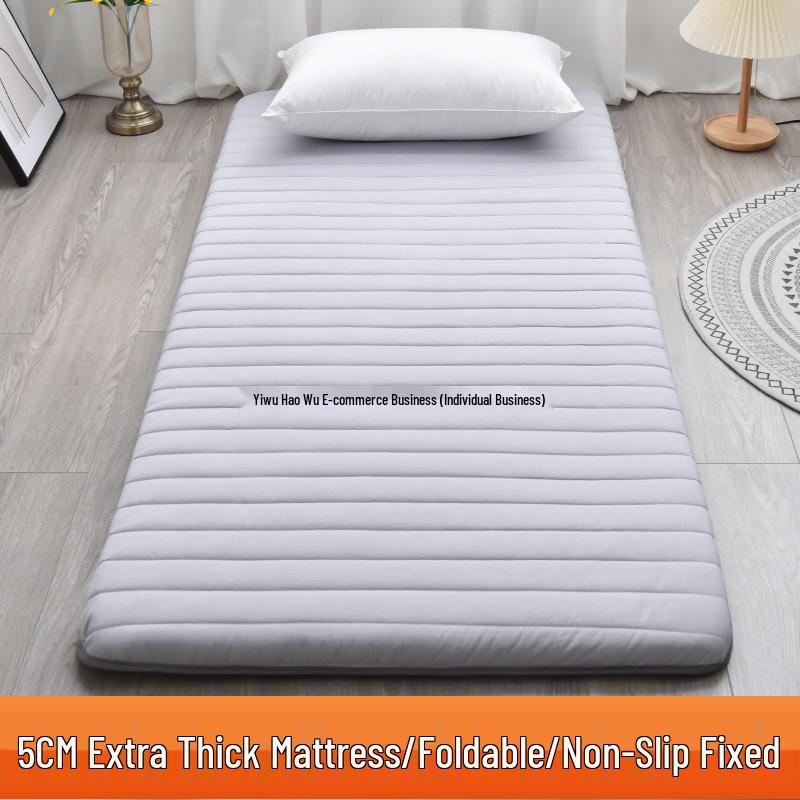 Winter Sponge Mattress Pad for Dormitory or Child's Bedroom