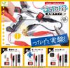 Yell Electrical Circuit Experiment Kit Complete Set of 3 Types Capsule × (Gachapon Toy)