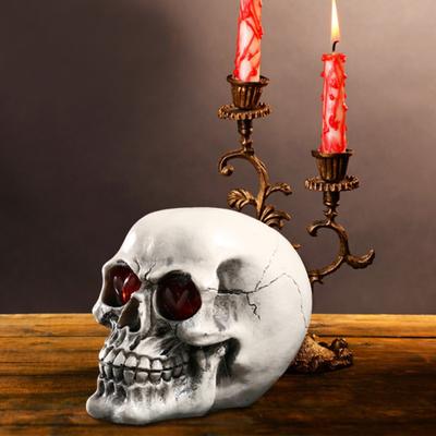 Studio Skull Head Sculpture Decoration Figurine Life Skull Decor Collectible Halloween Size Human Head