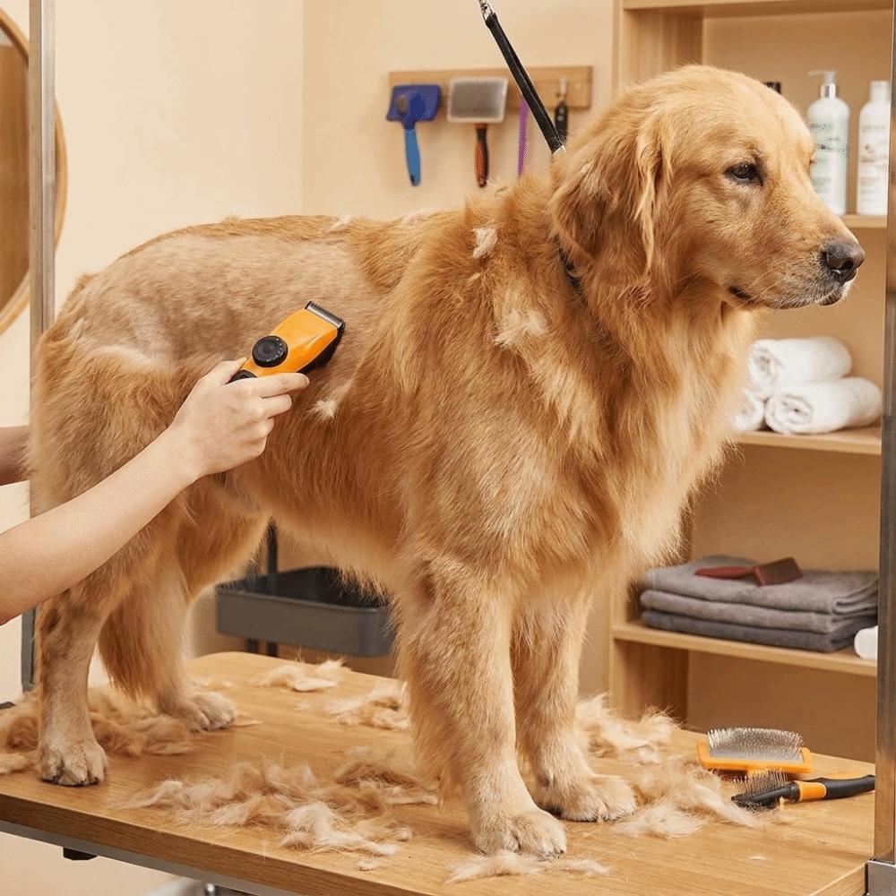 Cordless Pet Hair Trimmer Waterproof Pet Electric Trimmer Pet Beauty Shaver Pet Salon