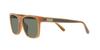 Sunglasses HC8359U CD455 52513H MILKY AMBER 56 [Coach]