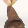 Decorative Kids Toy Great Smell-less Fake Poop Prank Gift Soft