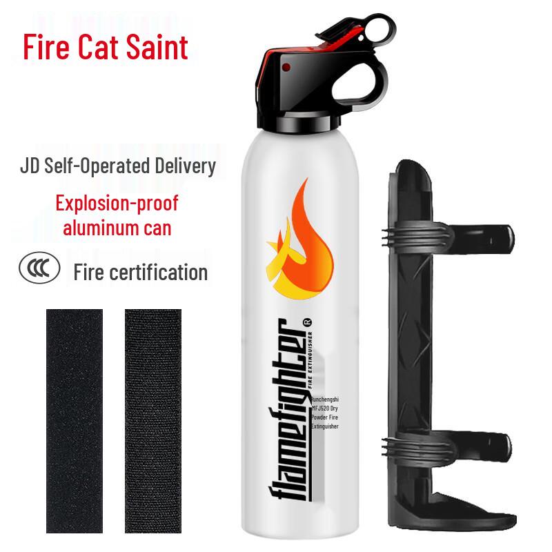 Flame Warrior Portable Dry Powder Fire Extinguisher