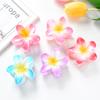 8Pcs/set Havaiano Ovo Flores Grampos de Cabelo Garra Meninas Acessórios de Cabelo Grampo de Cabelo Verão Praia Festa de Aniversário Decoração Presente de Casamento